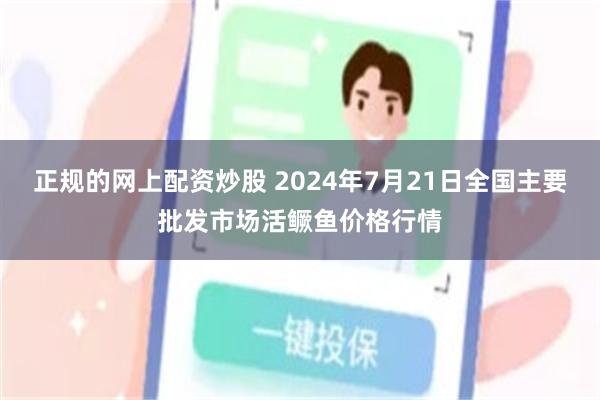 正规的网上配资炒股 2024年7月21日全国主要批发市场活鳜鱼价格行情