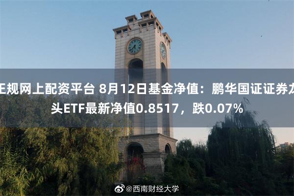 正规网上配资平台 8月12日基金净值：鹏华国证证券龙头ETF最新净值0.8517，跌0.07%