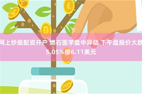 网上炒股配资开户 燃石医学盘中异动 下午盘股价大跌5.05%报6.11美元