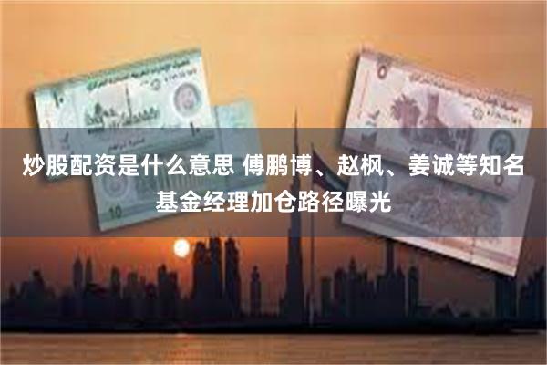 炒股配资是什么意思 傅鹏博、赵枫、姜诚等知名基金经理加仓路径曝光