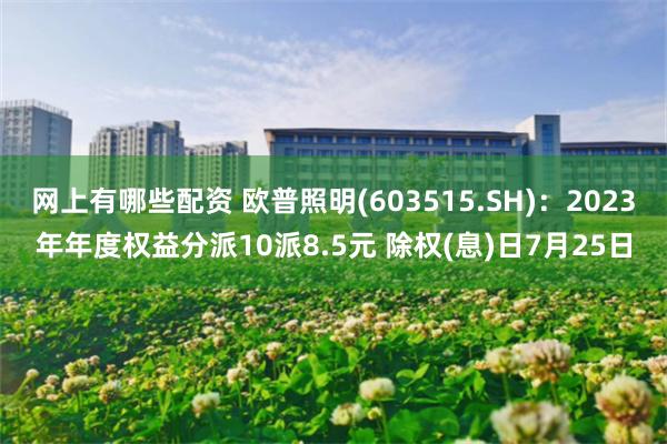 网上有哪些配资 欧普照明(603515.SH)：2023年年度权益分派10派8.5元 除权(息)日7月25日