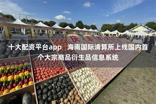 十大配资平台app   海南国际清算所上线国内首个大宗商品衍生品信息系统